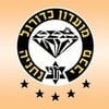 שי רפאל