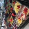 אורי בבב
