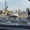 ישי טויטו