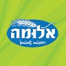 דינה אליאסוב