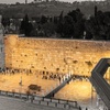 נפתלי י.