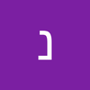 נסים אמיר