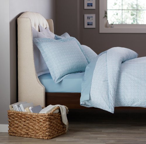 Pinzon 100-Percent Cotton Printed Duvet Set, Full/Queen, Spa Blue Vines