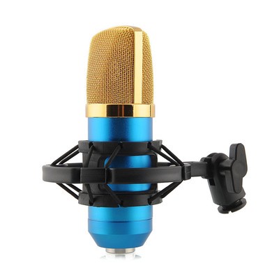 Large Condenser Microphone Mic BM700 Sound Speech Studio Shock Mount blue