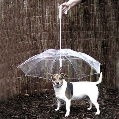 Waterproof Transparent Pet Dog Umbrella Protect From Rain Built-in Leash Hook DI