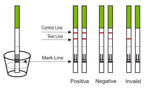 One Step® Ovulation & Pregnancy Ultra Early Home Urine Fertility Test Kit Strips