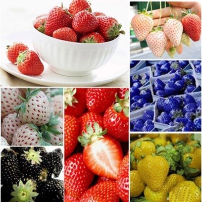 100X Strawberry Seeds Nutritious Delicious EVERBEARING Fruits Vegetables Seed