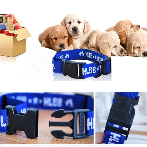 4 Month Effective Anti Fleas & Ticks & Mosquitoes Collar Elimination DOG / CAT