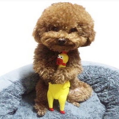 Screaming Yellow Rubber Chicken Pet Dog Toy Squeak Squeaker Chew Toy Gift 2 Size