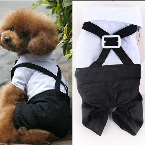 Pet Dog Puppy Cat Clothing Gentlemen Tuxedo Bow Tie Suit Costume Jumpsuit Coat