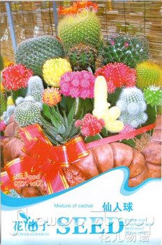 5 Pack 60+ SEEDS Mixture Color  Flower Cactus Seeds Plant F006