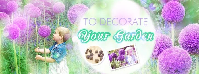 Shop Garden Plant Seeds, Flower Seeds, Fruit Seeds, Vegetable Seeds With Wholesale Price