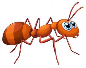 Google Image Result for http://www.ants.co.il/wp-content/uploads/ox9n_uny5_130212-300x237.jpg