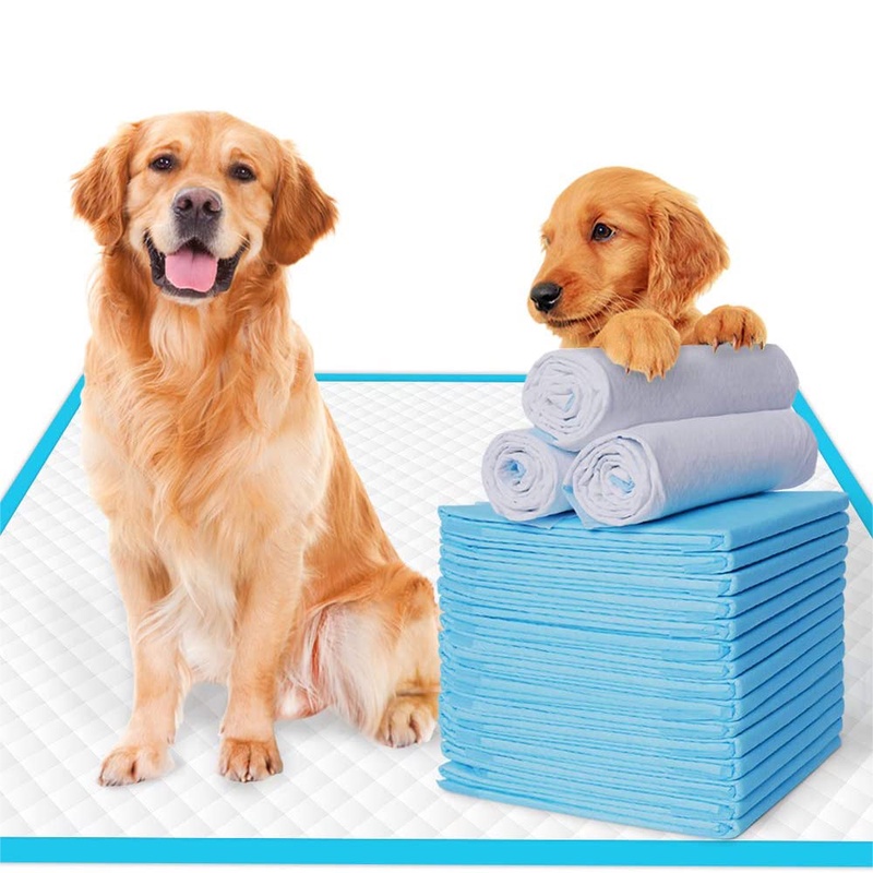 Dog Pee Pads Puppy Potty Training Pet Pads Super Absorbent Quick Drying No Leaking Pee Pads for Dogs Cats Pets Disposable|Diapers| - AliExpress