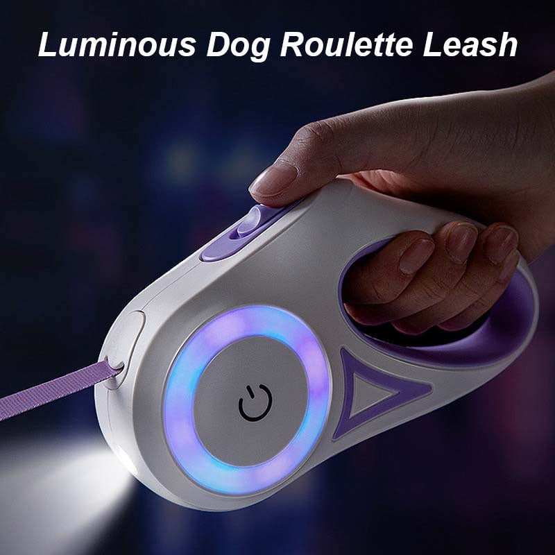 3m 5m Led Lights Dog Leash Durable Puppy Walking Extending Lead Rope Automatic Retractable Nylon Dog Roulette Leash Pet Products|Leashes| - AliExpress