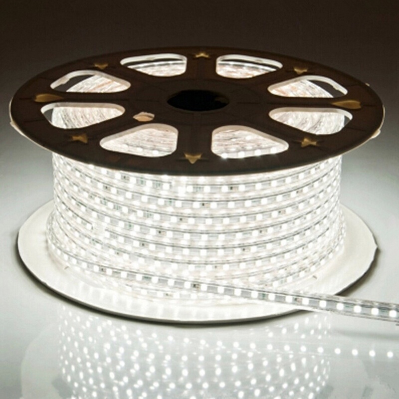 YL LED Strip 5050 Waterproof IP67 Waterproof AC 220V LED Flexible Strip 60leds/m 5050SMD LED Flexible Light With Power EU Plug