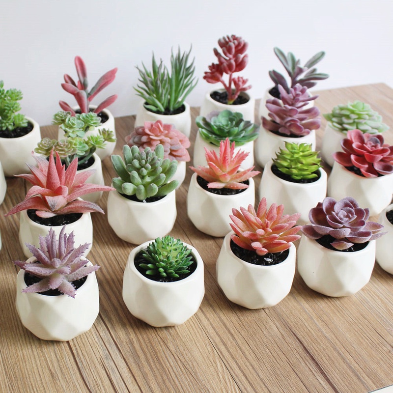 Artificial Succulent Bonsai Creative Ornaments for Home Table Garden Decoration Artificial Plants with Pot-in Artificial Plants from Home & Garden on Aliexpress.com | Alibaba Group