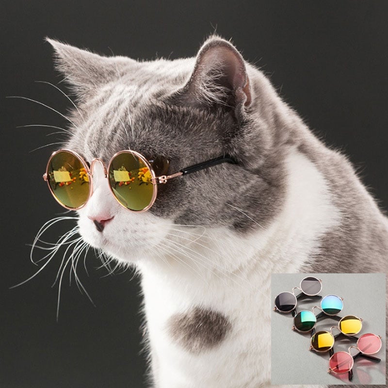 Pet Cat Glasses Dog Glasses Pet Products for Little Dog Cat Eye Wear Dog Sunglasses Photos Props Accessories Pet Supplies Toy|Cat Toys| - AliExpress