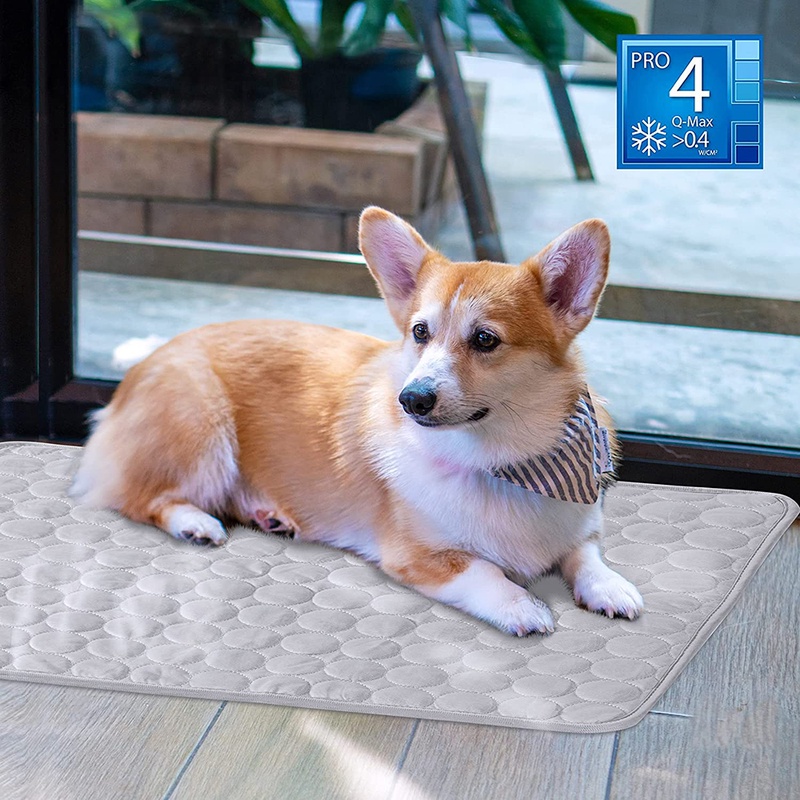 Dog Cooling Mat Cooling Pad for Pets Chilly Pad for Kennels Crates Cars Indoor & Outdoor Ice Silk Mat Cooling Blanket Cushion| | - AliExpress