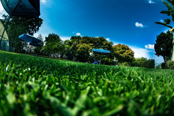 קאנטרי בילו | הקאנטרי הגדול ברחובות והסביבה