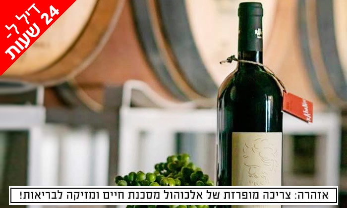 דיל ל-24 שעות: מארז 6 יינות במשלוח חינם מיקב כהנוב, גדרה | גרו (גרופון)