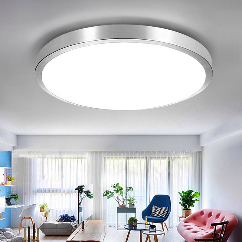 LED Modern Ceiling Light Flush Mount Bedroom Living Room Lighting Lamp 12/24W