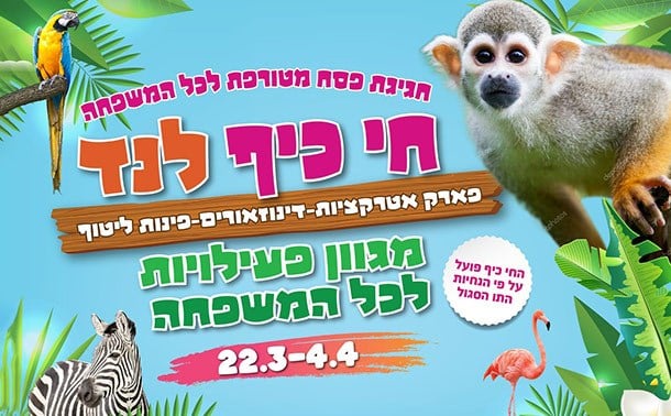 מזרחי טפחות | אתר הכרטיס