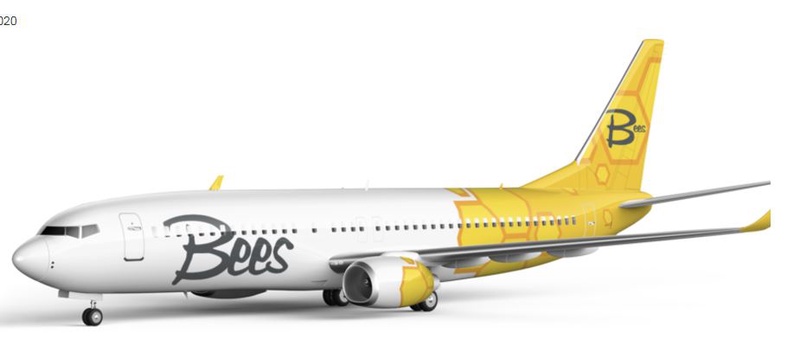 Bees Airline - Ukraine new airline start flights in January 2021