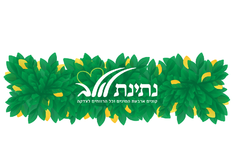 נתינת לולב