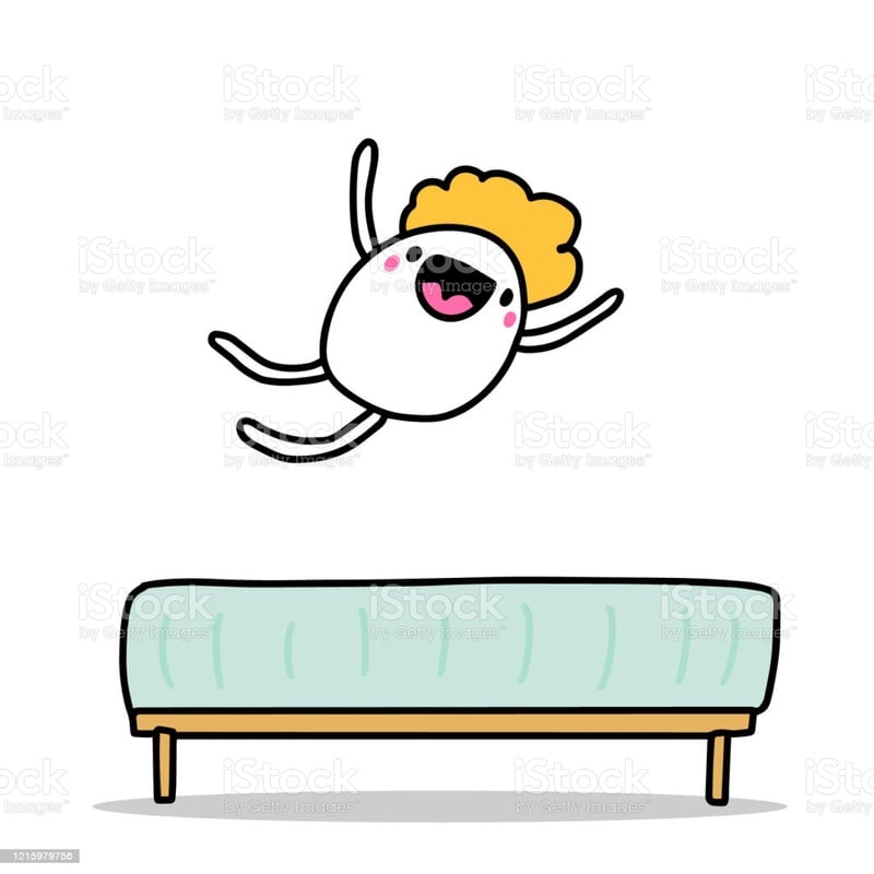 ראשי - המזרן ספנסר