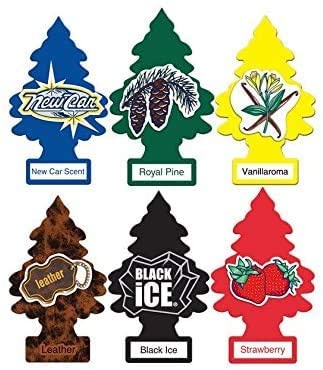 Amazon.com: Little Trees Assorted Air Freshener Classic Scents (24 Pack) : Automotive