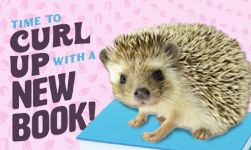 Book Depository: Free delivery worldwide on over 20 million books
