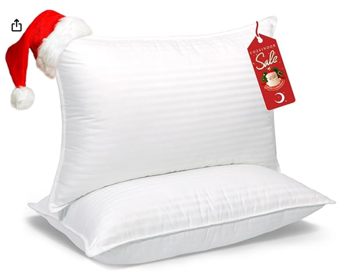 Amazon.com: COZSINOOR Queen Size Bed Pillows Set of 2, Plush Cooling Hotel Quality Pillows with Breathable Skin-Friendly Microfiber Cover : Home & Kitchen