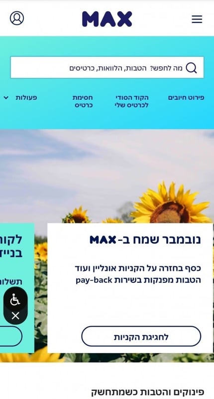 הלוואות כרטיסי אשראי ושירותי סליקה max