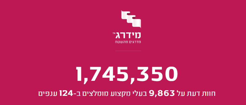 מידרג - דרוג בעלי מקצוע