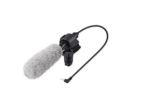 Sony ecm-cg60 - Mikrofone (Digital Kamera, 40-20000 Hz, 3,5 mm (1/20,3 cm), verkabelt, AAA, Alkaline)