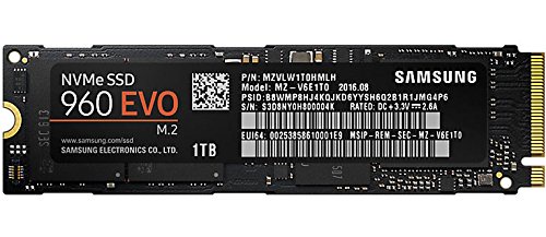 Samsung 960 EVO MZ-V6E1T0BW Interne Solid State Drive (1TB)