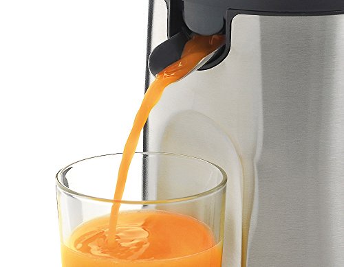 WMF STELIO Citruspresse elektrisch (85 W, 2 Presskegel, verschließbarer Saftauslauf direkt ins Glas cromargan) matt/silber