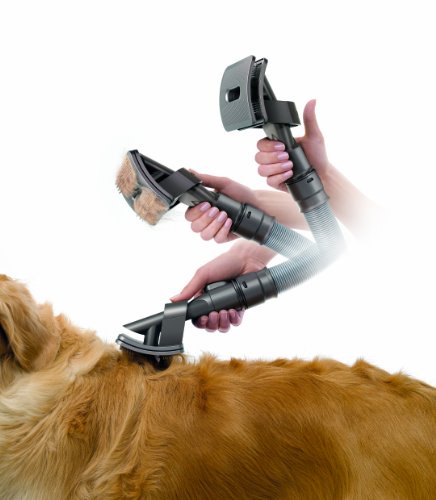 Dyson Groom Tool Vacuum-Assisted Dog Groomer