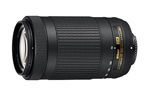 Nikon AF-P DX Nikkor 70-300 mm f/4.5-6.3G ED