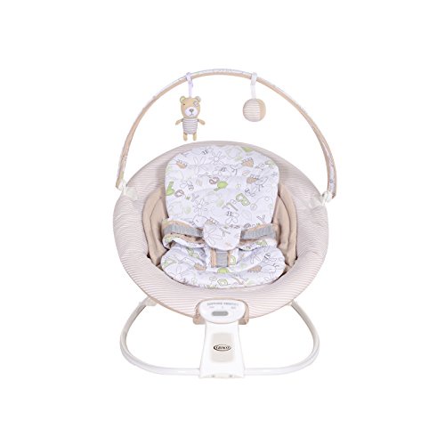 Graco Duet Rocker Swing - Benny and Bell