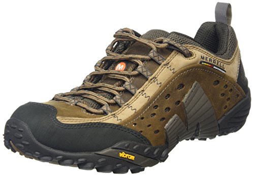 Merrell Intercept, Men's Lace-Up Outdoor Cross Trainer Shoes - Moth Brown, 10.5 UK