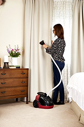 Tefal IT6540 Master Precision 360 Upright Garment Steamer, 1500 Watt, Black/Raspberry