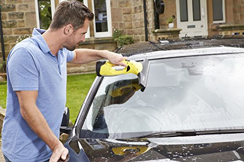 Kärcher WV2 Premium Window Vac
