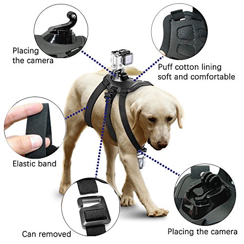 MCOCEAN Dog Harness Chest Mount Sports Camera Accessories Kit for GoPro HERO 4 (Black), GoPro HERO 4 (Silver), GoPro HERO 3+/3/2, SJ4000, SJ5000 and SJ6000