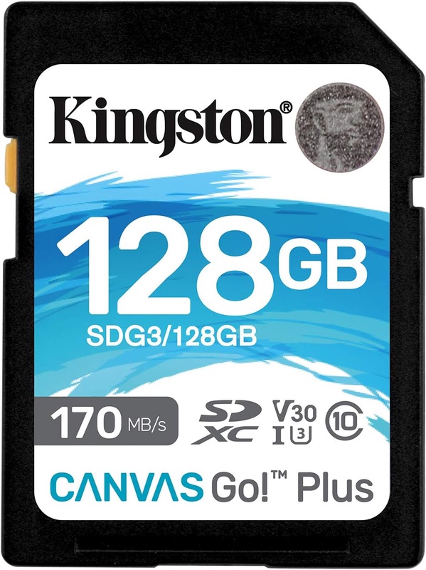Amazon.com: Kingston 128GB SDXC Canvas Go Plus 170MB/s Read UHS-I, C10, U3, V30 Memory Card (SDG3/128GB): Computers & Accessories