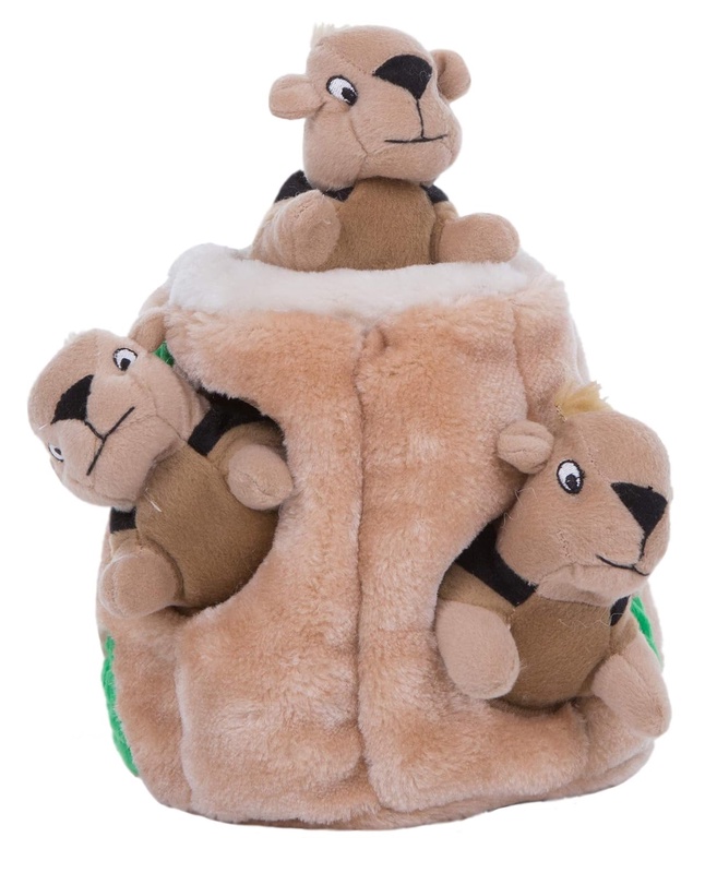 Pet Supplies : Pet Squeak Toys : Outward Hound Hide a Squirrel Fun Hide & Seek Interactive Puzzle Plush Dog Toy, 4Piece, Small : Amazon.com
