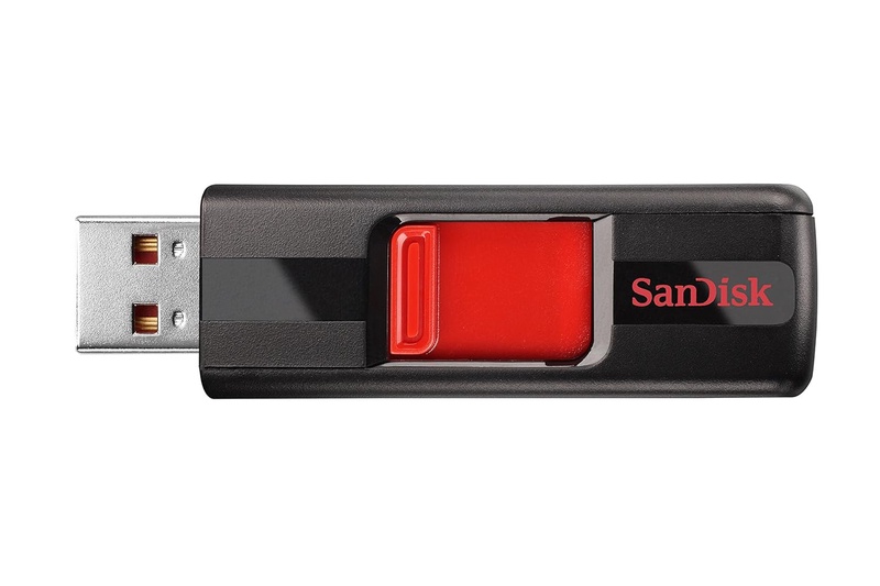Amazon.com: SanDisk Cruzer 256GB USB 2.0 Flash Drive (SDCZ36-256G-B35): Computers & Accessories