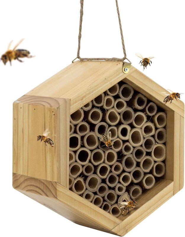 Amazon.com : Mason Bee House - Handmade Natural Bamboo Bee Hive - Attracts Peaceful Bee Pollinators to Enhance Your Garden's Productivity : Garden & Outdoor