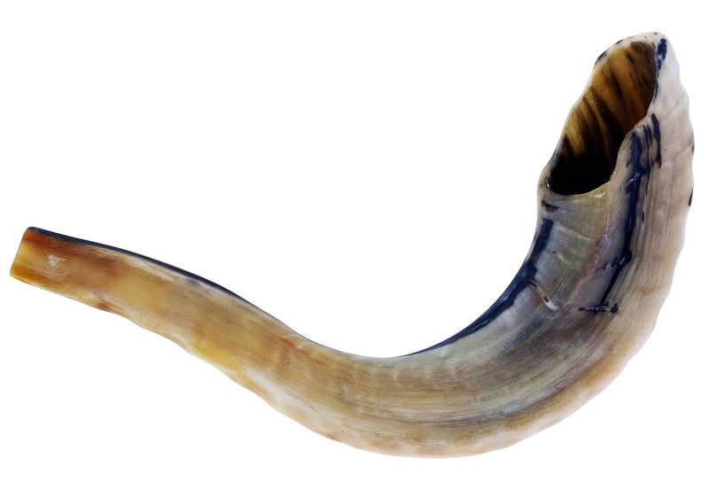 Amazon.com: Judaica Mega Mall Shofar (B4: Musical Instruments